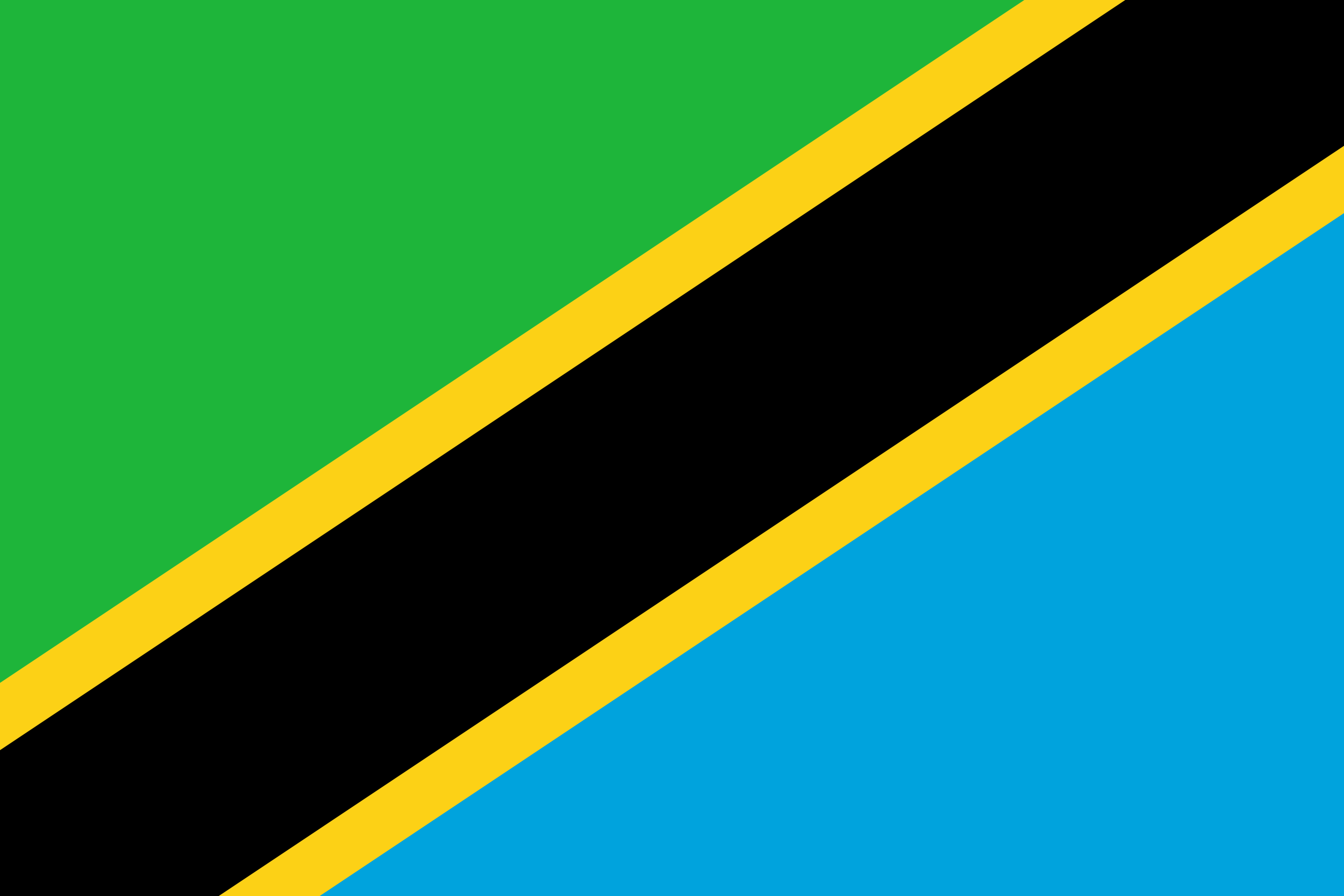 SIESCOM TANZANIA flag